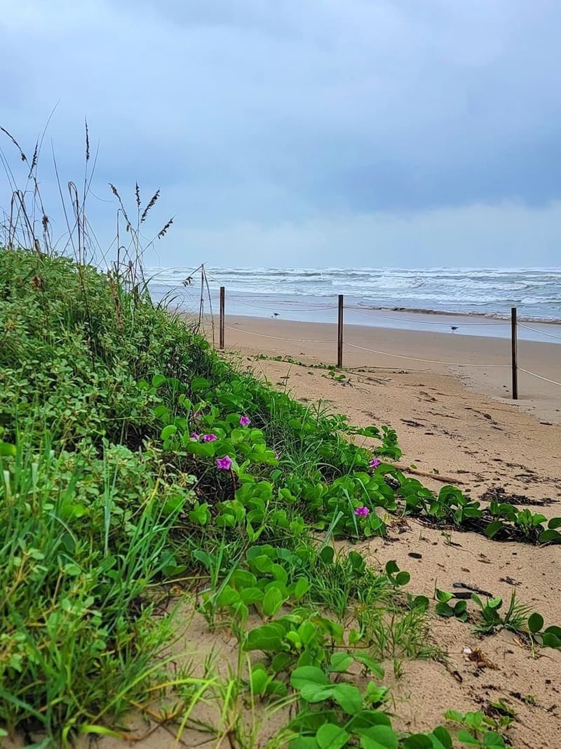 A path leading to the beach on a cloudy day.