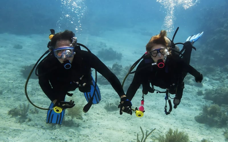 A man and a woman are holding hands while scuba diving in the ocean.