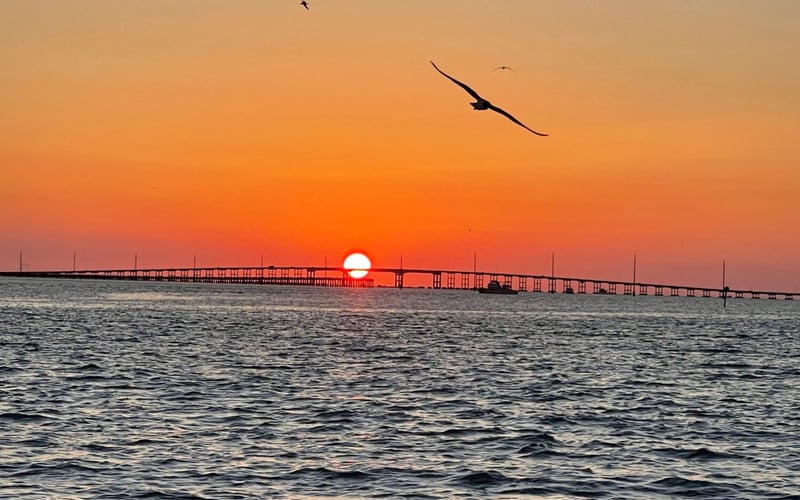 A bird is flying over the ocean at sunset
