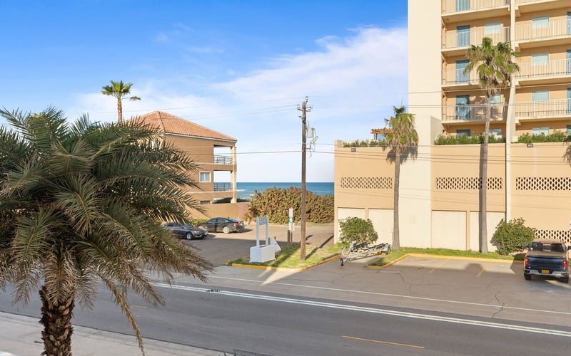 A view of the ocean from a balcony with a palm tree in the foreground.