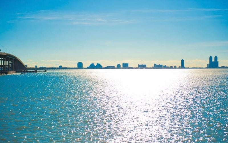A city skyline is visible over a body of water.