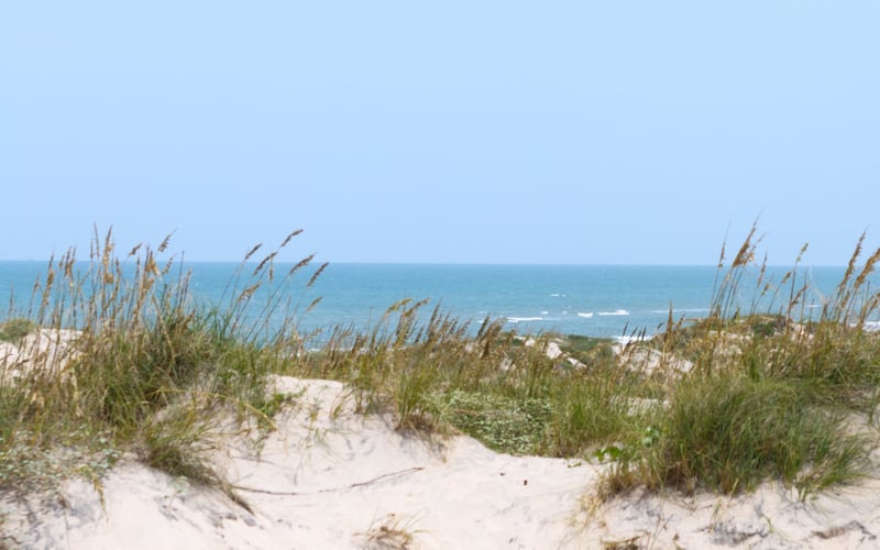 A view of the ocean from a sand dune.